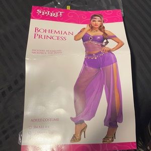 Bohemian Princess Costume For Halloween includes headband,neckpiece,top,pants